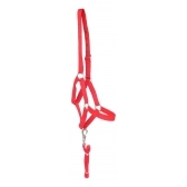 Cabresto Para Cavalo De Seda Quarto De Milha - Vermelho
