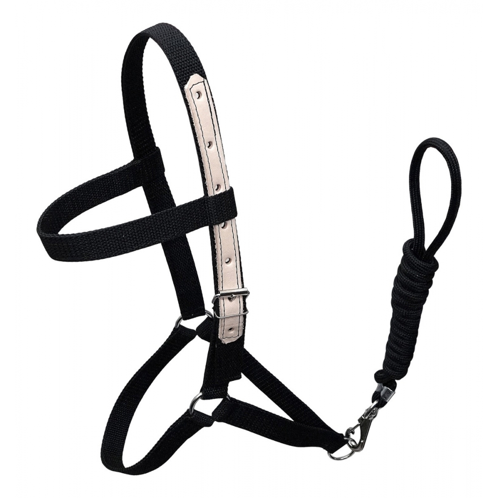 Cabresto Em Fita De Nylon Para Equinos - Preto