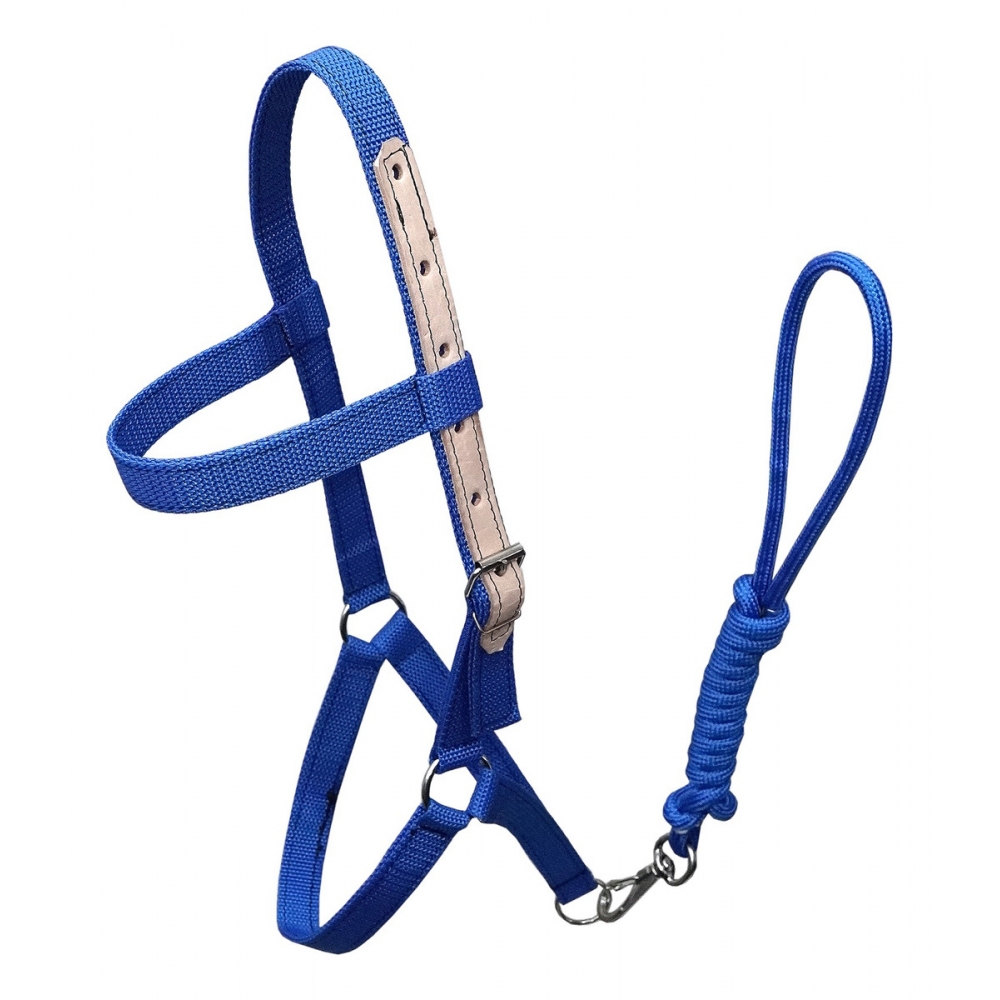 Cabresto Em Fita De Nylon Para Equinos - Azul