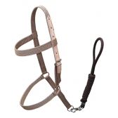 Cabresto Em Fita De Nylon Para Equinos - Bege