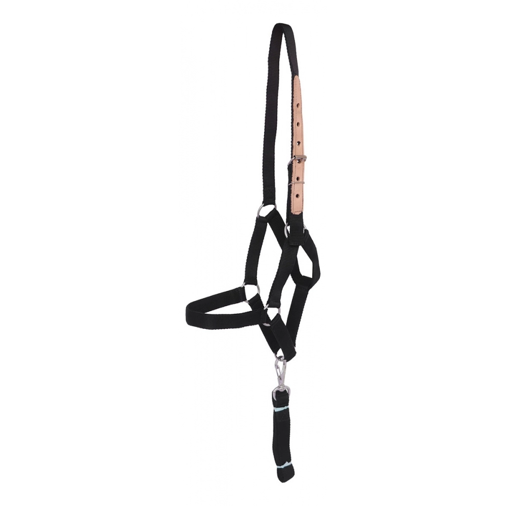 Cabresto Para Cavalo De Seda Quarto De Milha - Preto