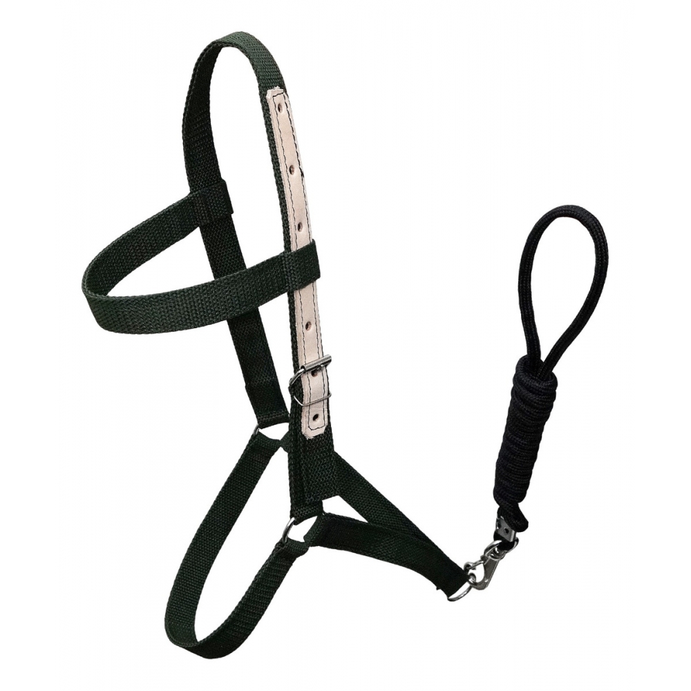 Cabresto Em Fita De Nylon Para Equinos - Verde-Militar