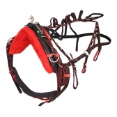 Arreio Arreata Trole Charrete Bombado Luxo Completo - Vermelho