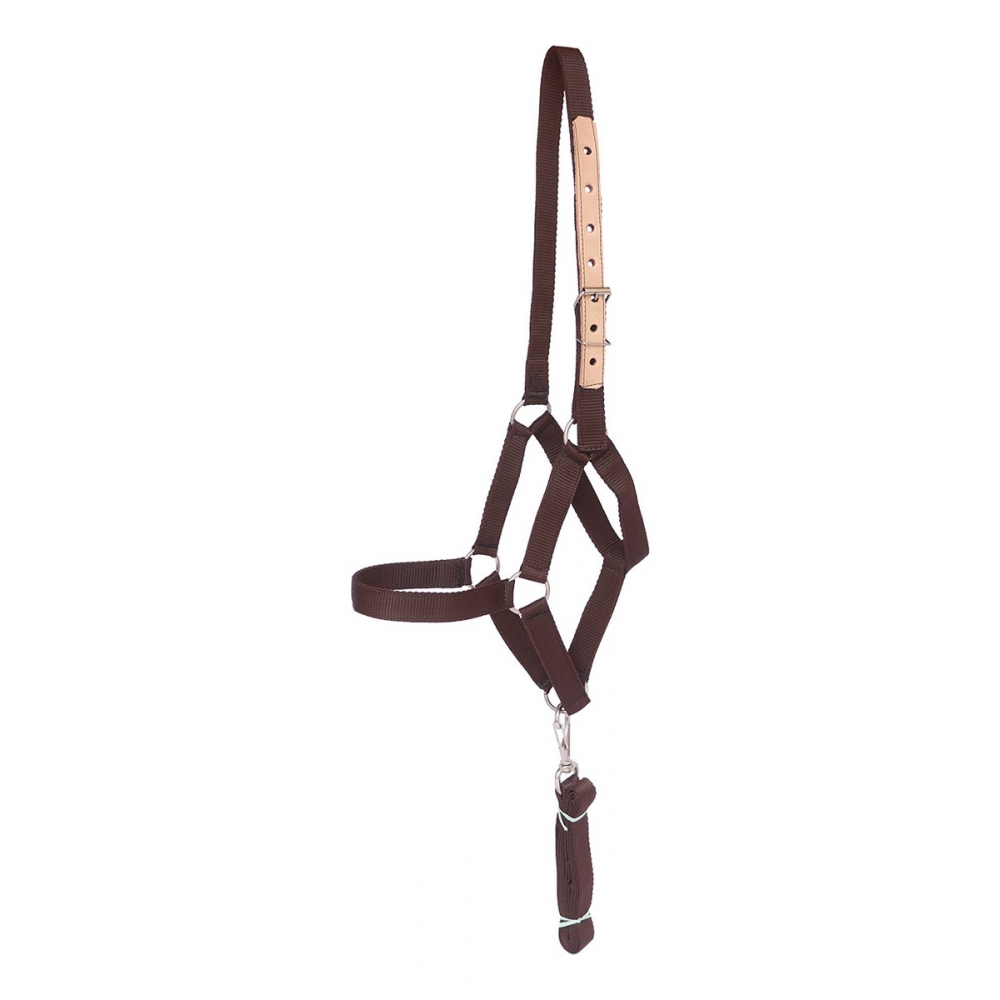 Cabresto Para Cavalo De Seda Quarto De Milha - Marrom