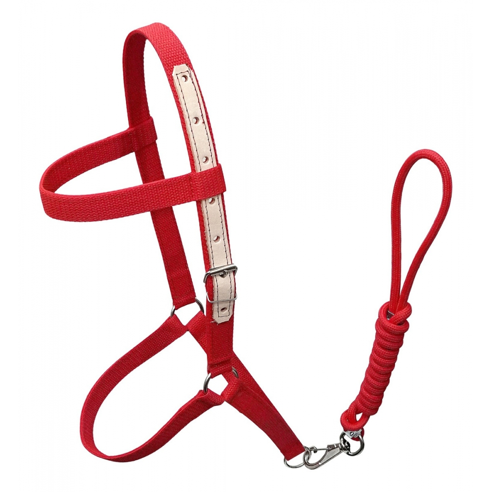 Cabresto Em Fita De Nylon Para Equinos - Vermelho