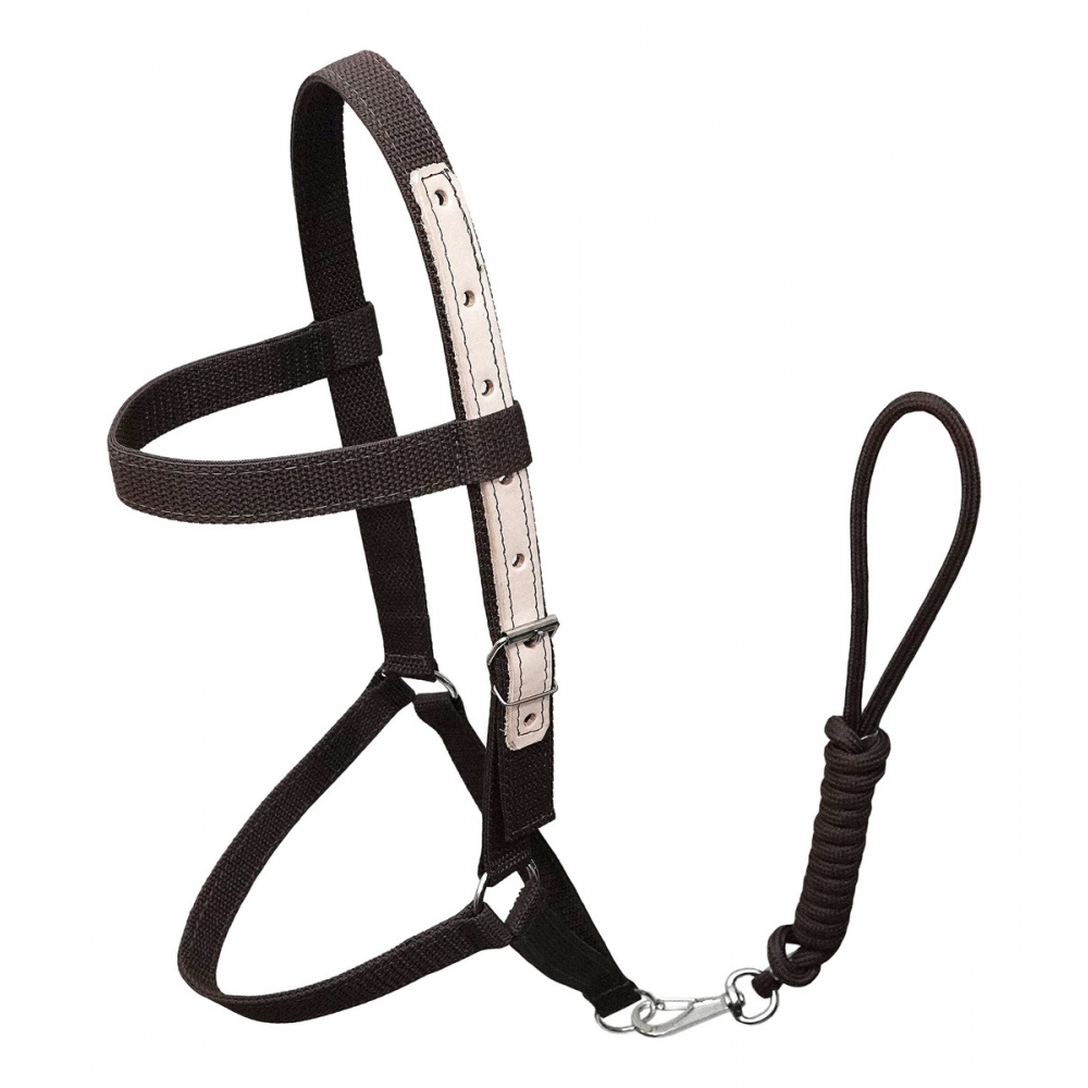 Cabresto Em Fita De Nylon Para Equinos - Marrom