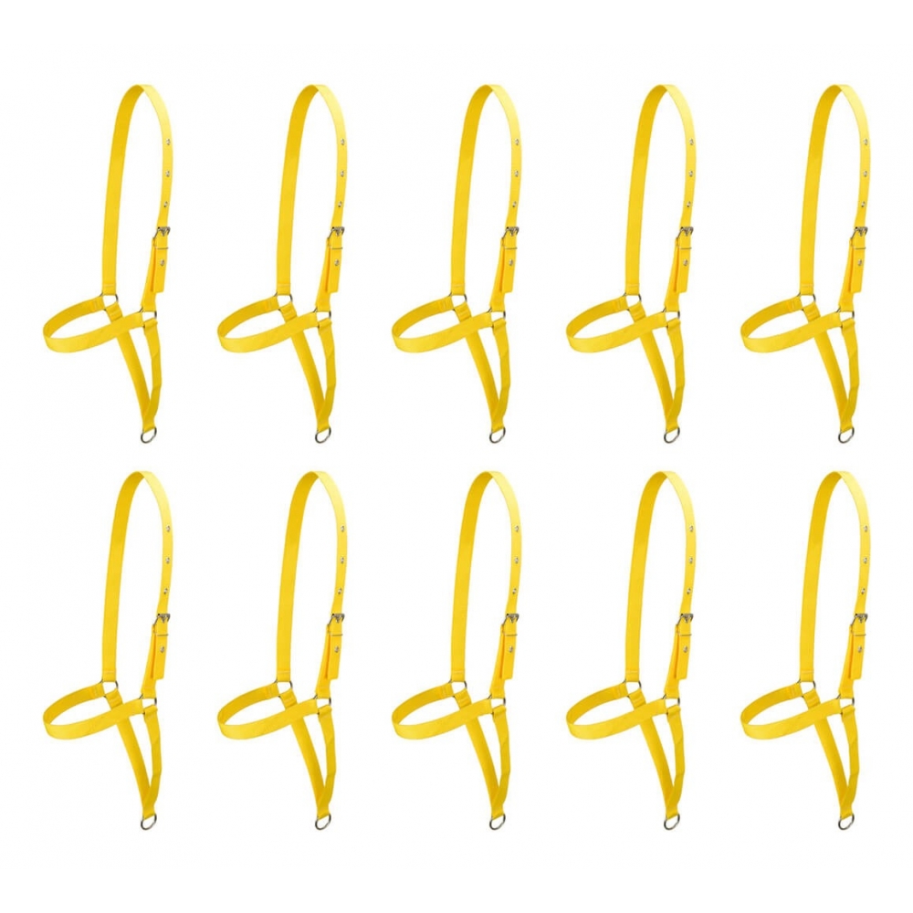 10 Cabrestos De Fita De Poli Para Vaca Alta Durabilidade - Amarelo