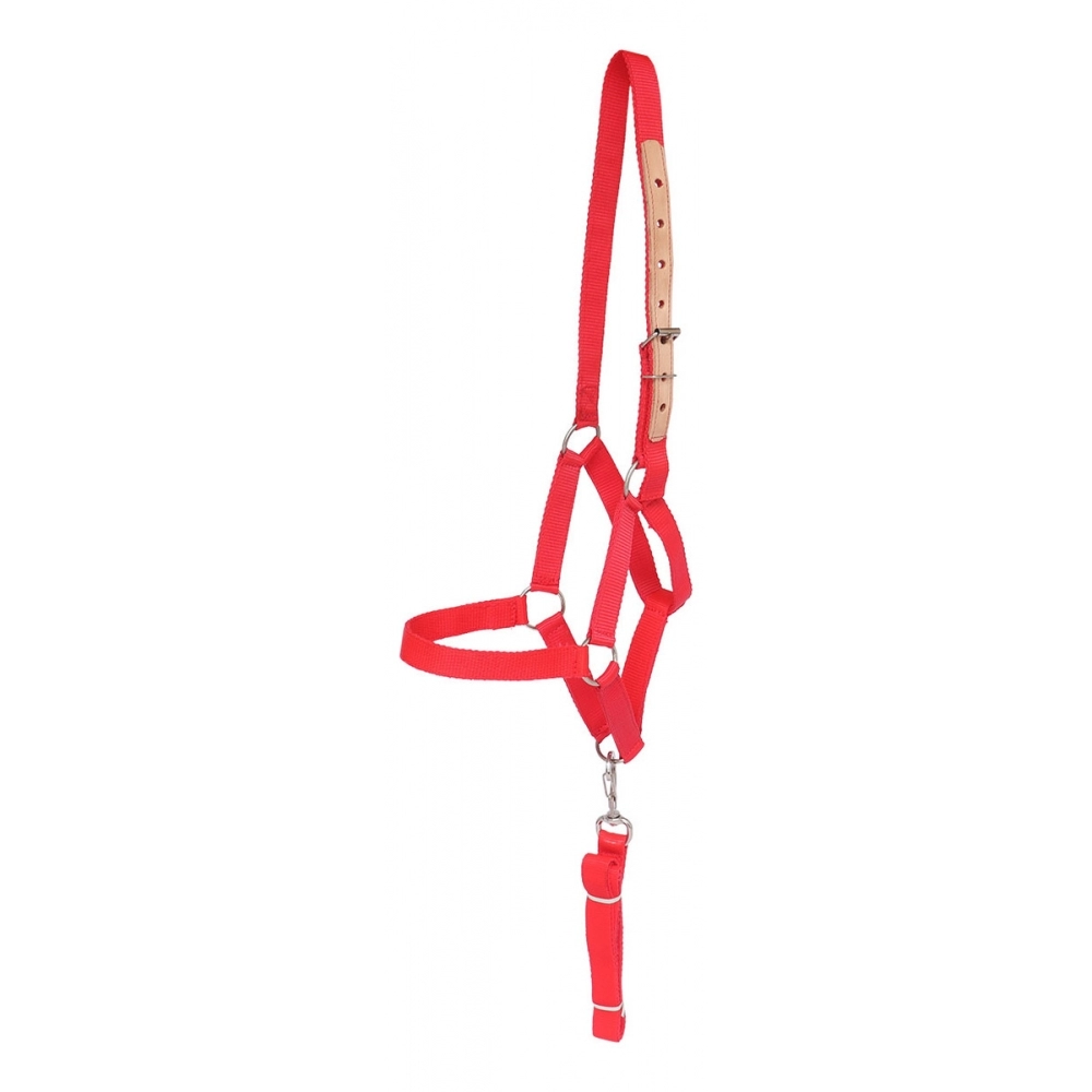 Cabresto Para Cavalo De Seda Quarto De Milha - Vermelho
