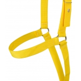 10 Cabrestos De Fita De Poli Para Vaca Alta Durabilidade - Amarelo